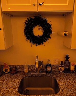 A kitchen with a granite countertop, a stainless steel sink, a black wreath, and various kitchen items including a bottle of dish soap and a bottle of liquid dish detergent. - The Salem Spookhouse 3BR with Free Parking! Sleeps 8! (Salem)