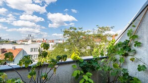 En takträdgård med klätterväxter och utsikt över stadens byggnader.