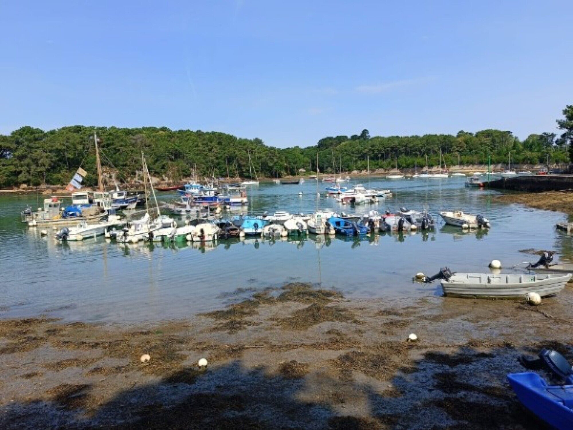 Jachthaven