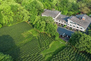 An aerial view of a building surrounded by lush green fields, likely a tea plantation.