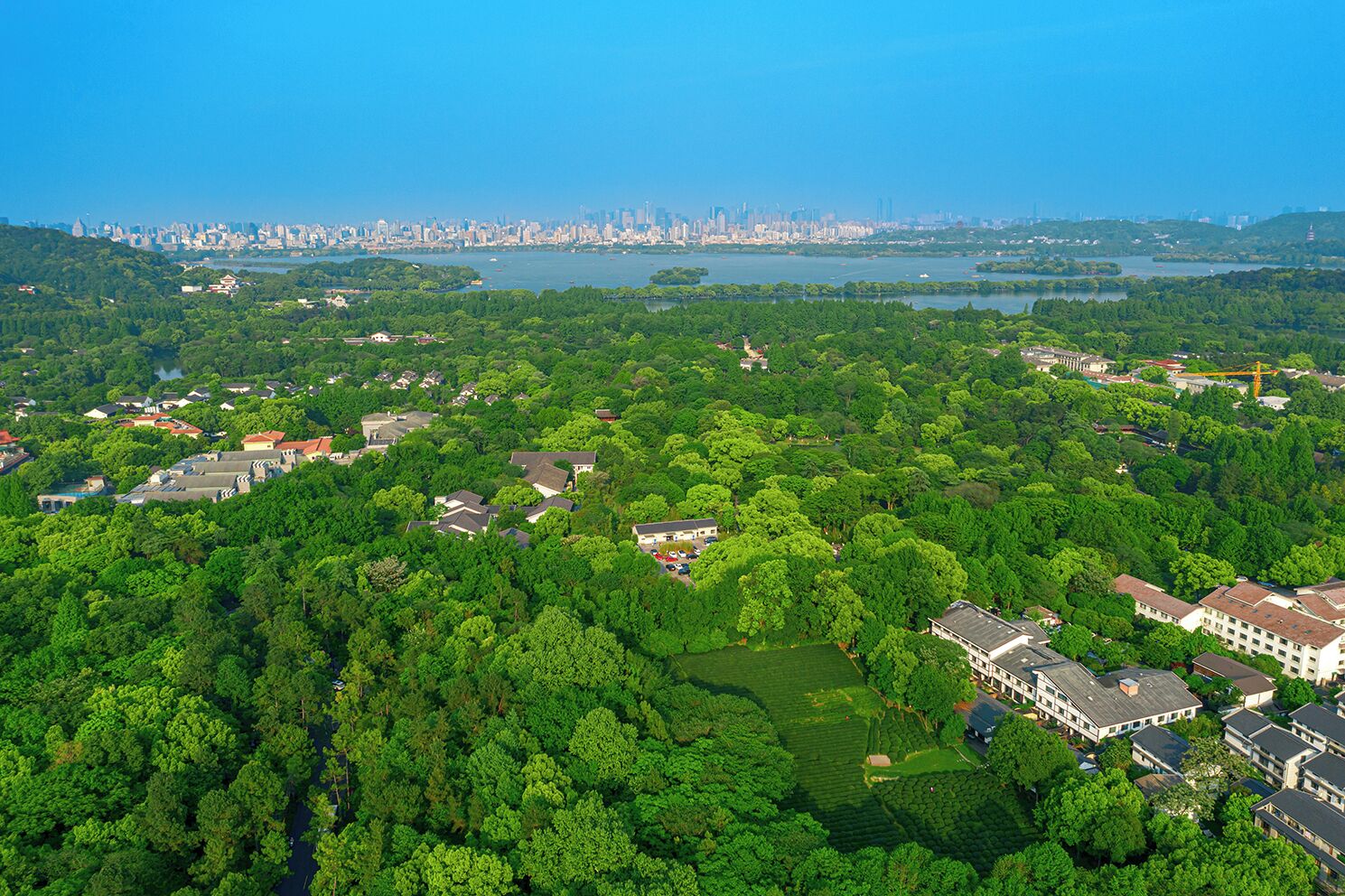 Vista aérea de una zona residencial con casas, una gran masa de agua y el horizonte lejano de una ciudad.