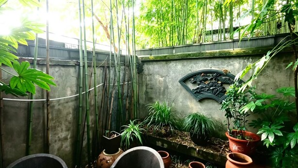 A bamboo garden with a seating area, a decorative wall, and potted plants.