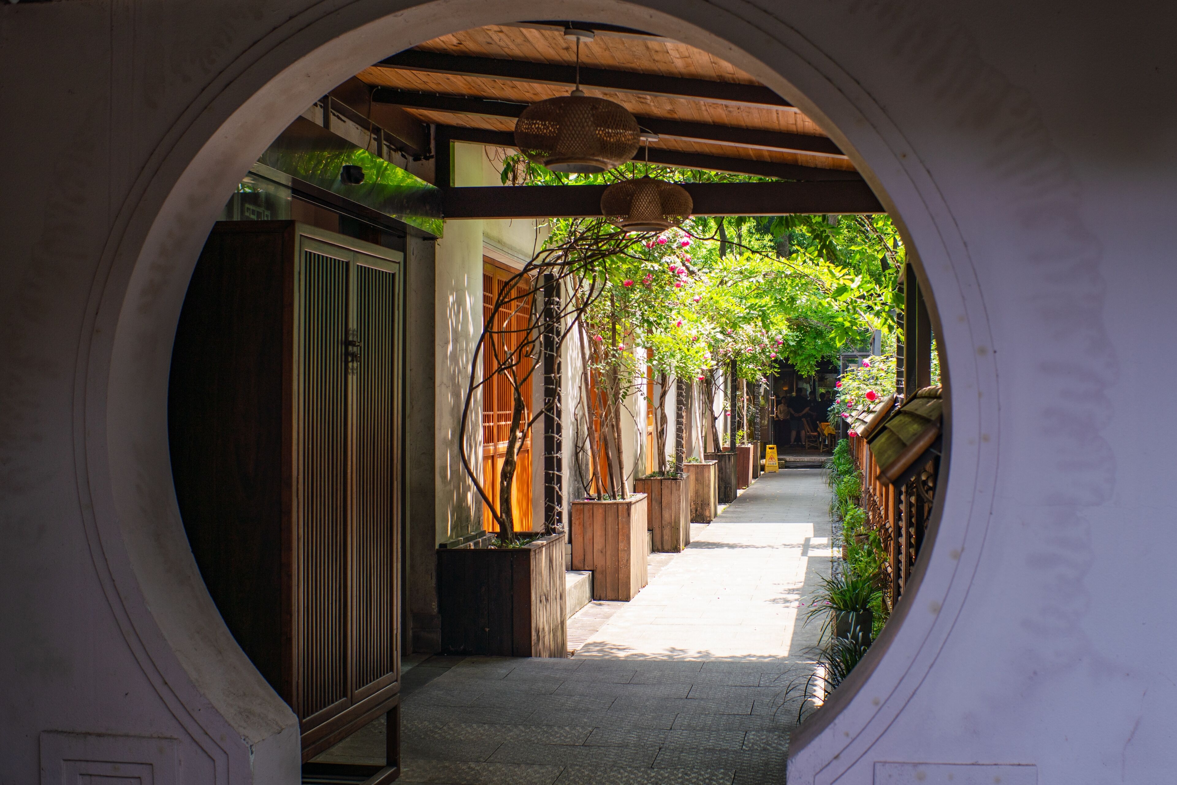 A corridor with a wooden door, potted plants, and a hanging light fixture.