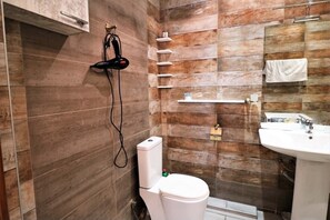 Shower, hair dryer, towels, soap - Dadiani LUX (Tbilisi)
