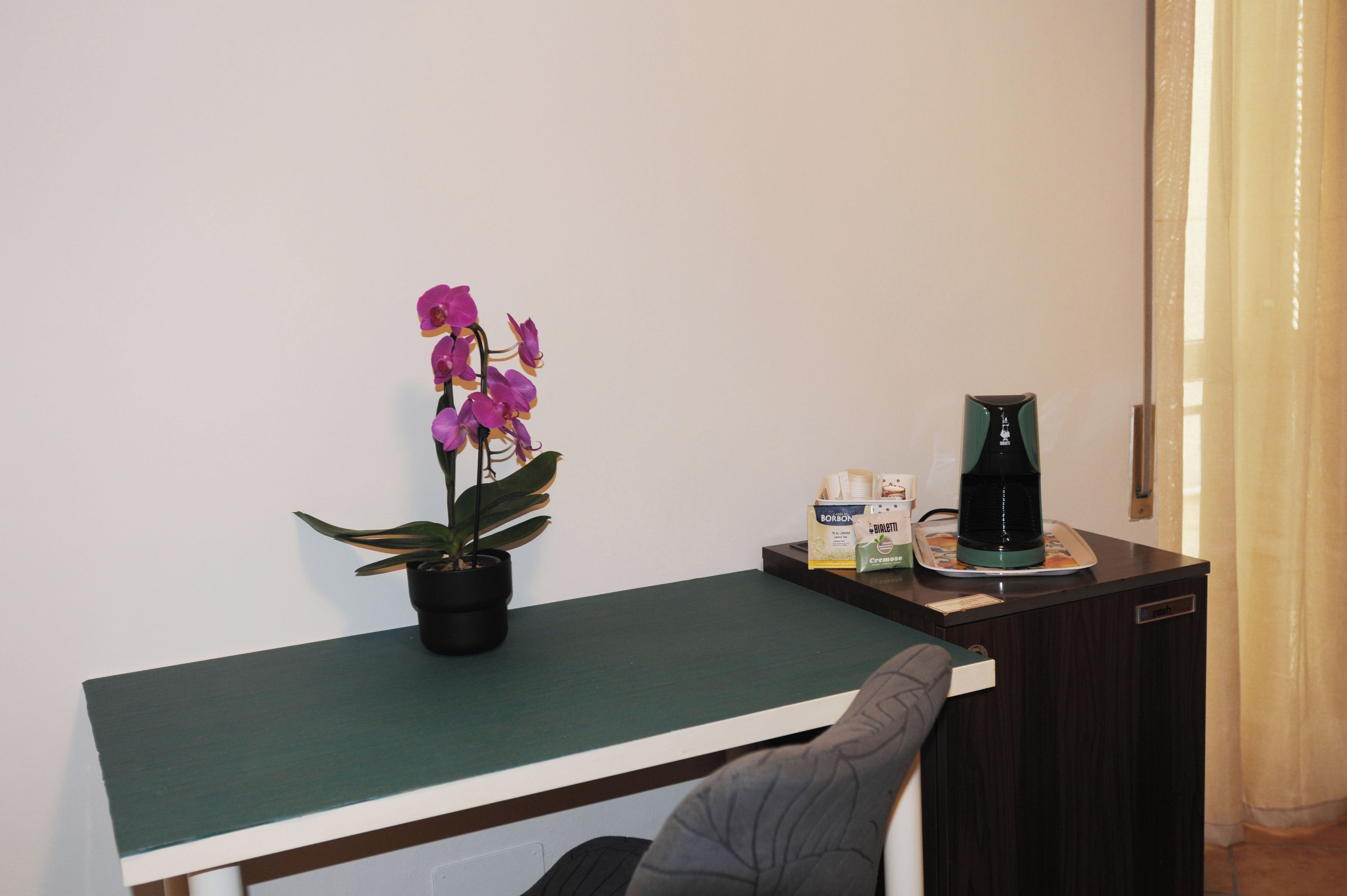 A small workspace with a desk, a potted plant, a coffee maker, and a chair.