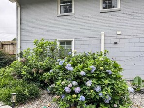 Un immeuble résidentiel à la façade en briques grises, un petit jardin agrémenté de buissons d’hortensias et une clôture en bois en arrière-plan.