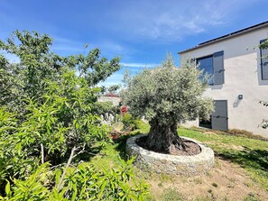 A garden with a large tree in a stone planter, a building with a white facade and shutters, and a clear blue sky. - Vacation Home for Rent (Belgodère)