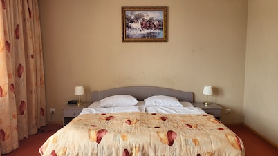Hotel Metro