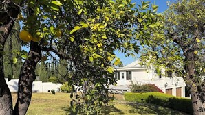 A residential property with a lawn, a tree with fruit, and a white building with a porch. - Peaceful Foothill Getaway Tennis & 40+ Fruit Trees (Upland)