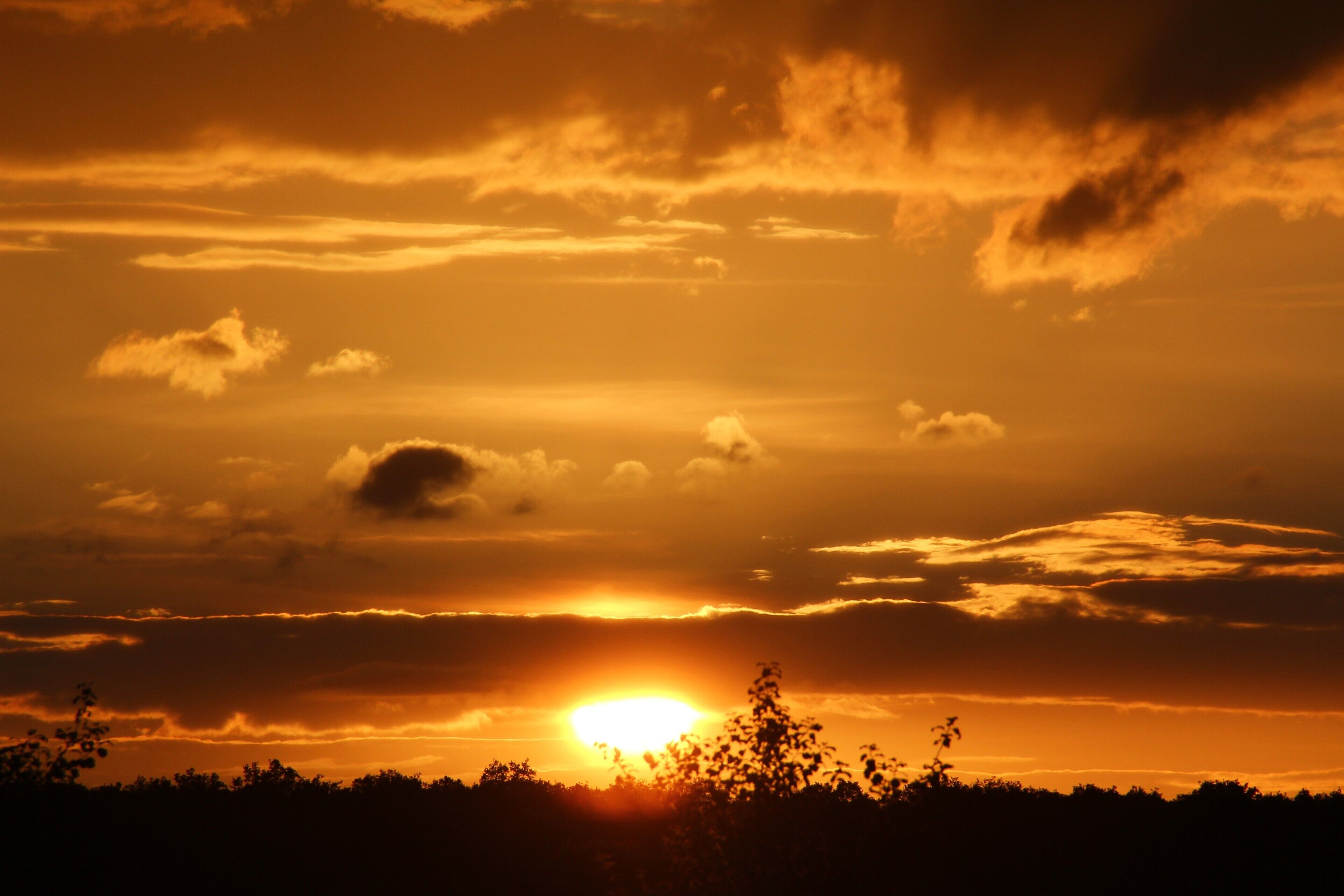 Ein Sonnenuntergang, bei dem die Sonne teilweise von Wolken verdeckt ist und eine Baumreihe vor einem Himmel mit verschiedenen Wolkenformationen in Silhouette darstellt.