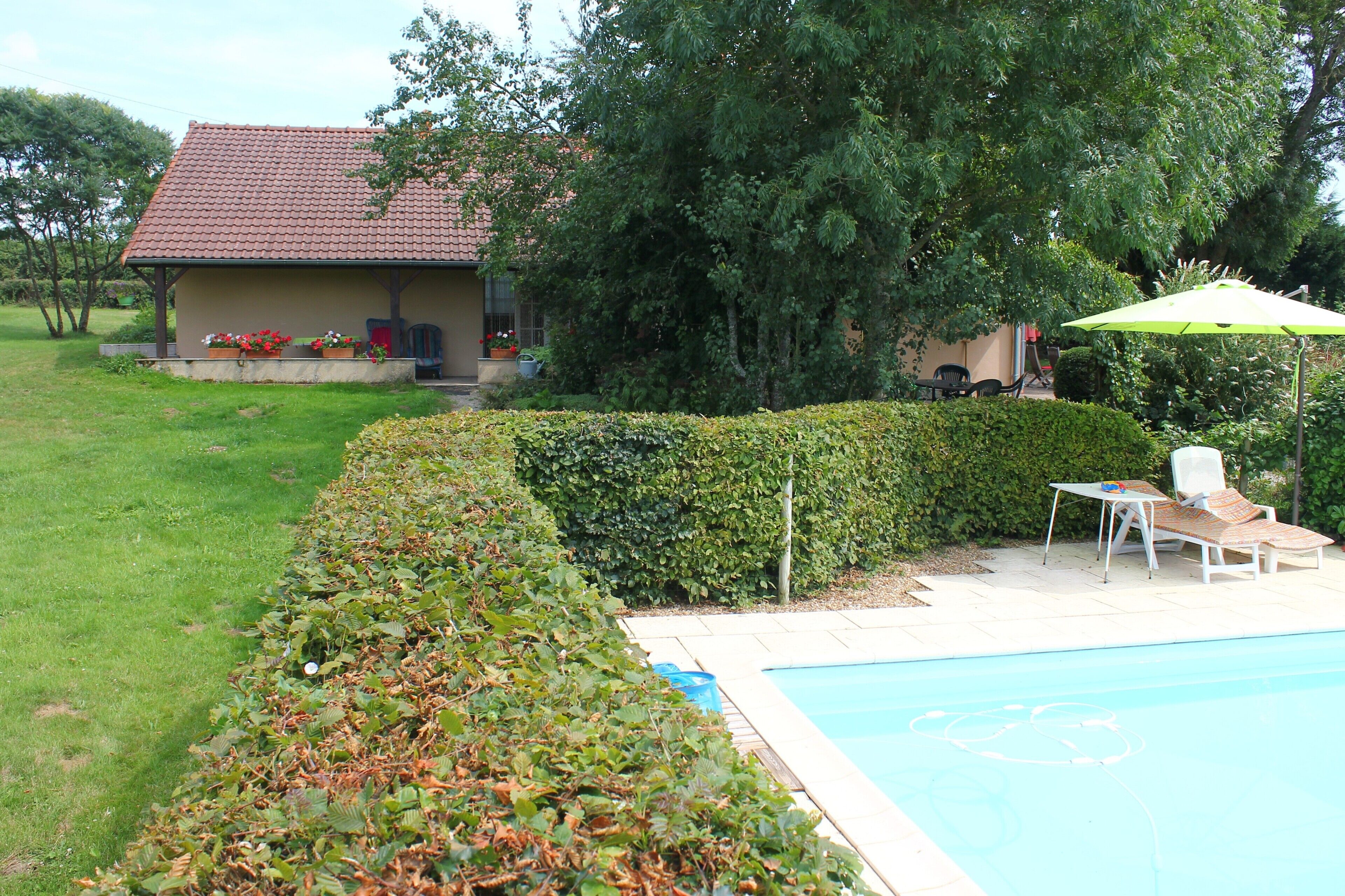 A residential property with a swimming pool, a covered patio area, and a garden with a variety of plants and a hedge.