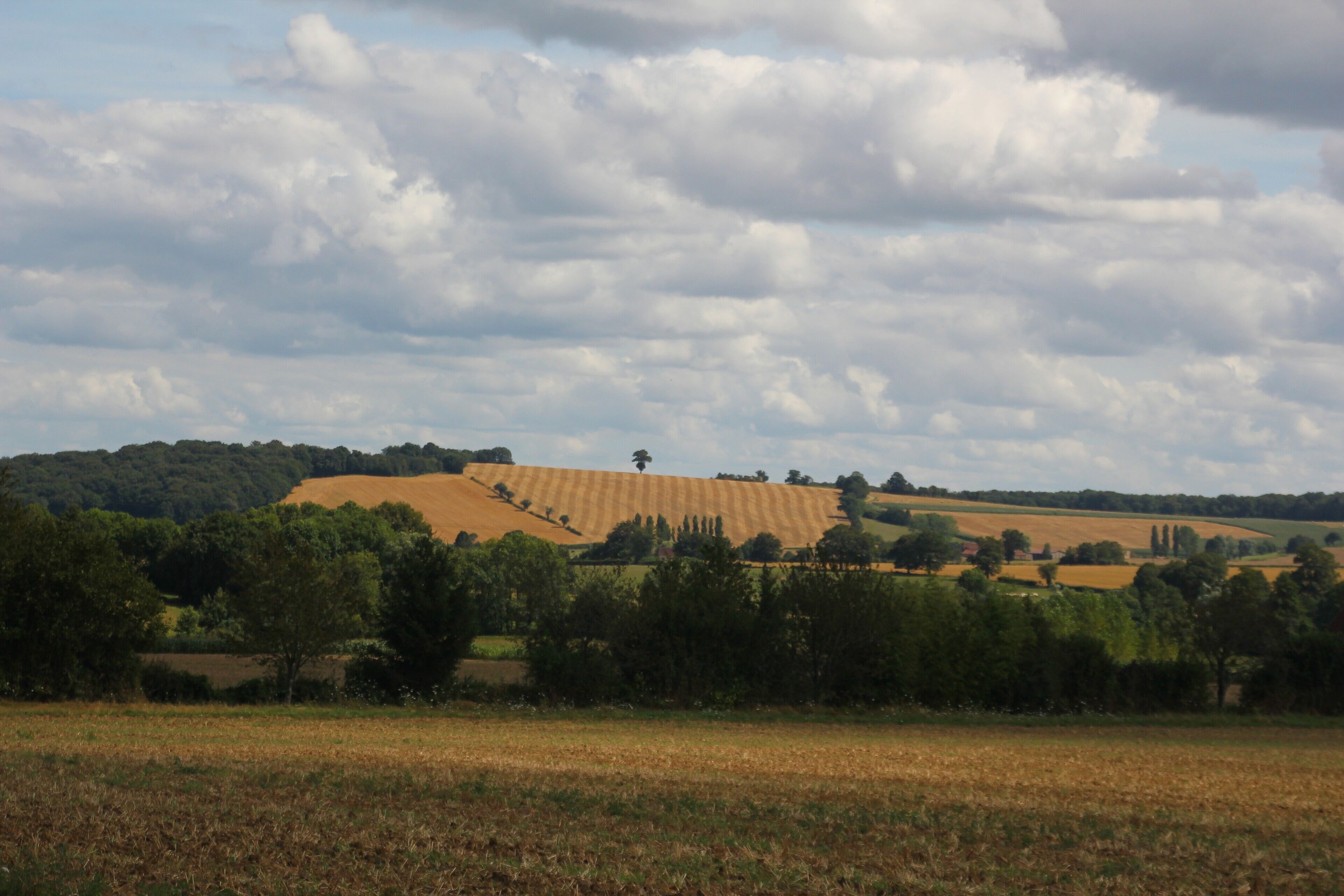 A rural landscape with rolling hills, fields, and a line of trees.