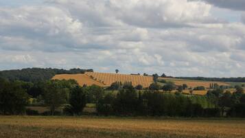 A rural landscape with rolling hills, fields, and a line of trees.
