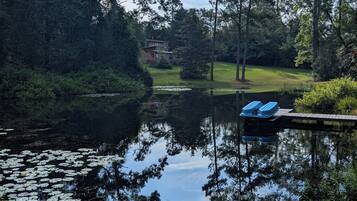 A calm pond with lily pads, surrounded by trees and a grassy area.