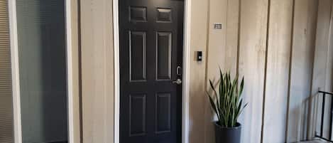 A black door with a white frame, a potted plant beside it, and a number '251' sign on the wall.