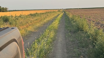 A rural dirt road flanked by fields, leading towards a distant horizon.