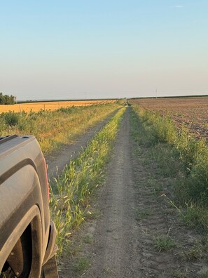 A rural dirt road flanked by fields, leading towards a distant horizon.
