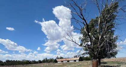 24 Acre Private 3-bedroom Ranch great for hunters, family reunions and more