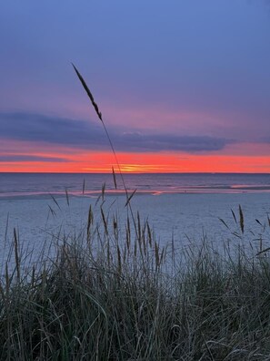 Eine Küstenlandschaft mit Sonnenuntergang über dem Wasser, Gras im Vordergrund und einem klaren Himmel.