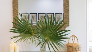 A wooden cabinet with wicker details, a mirror, and a potted plant. - BREATHTAKING : on water front with panoramic views + pool + dock (Dunmore Town)