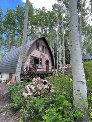 A rustic cabin with a sloped roof, surrounded by birch trees and a pile of cut logs. - Cozy & Secluded Forest Staycation-BBQ (Brighton)