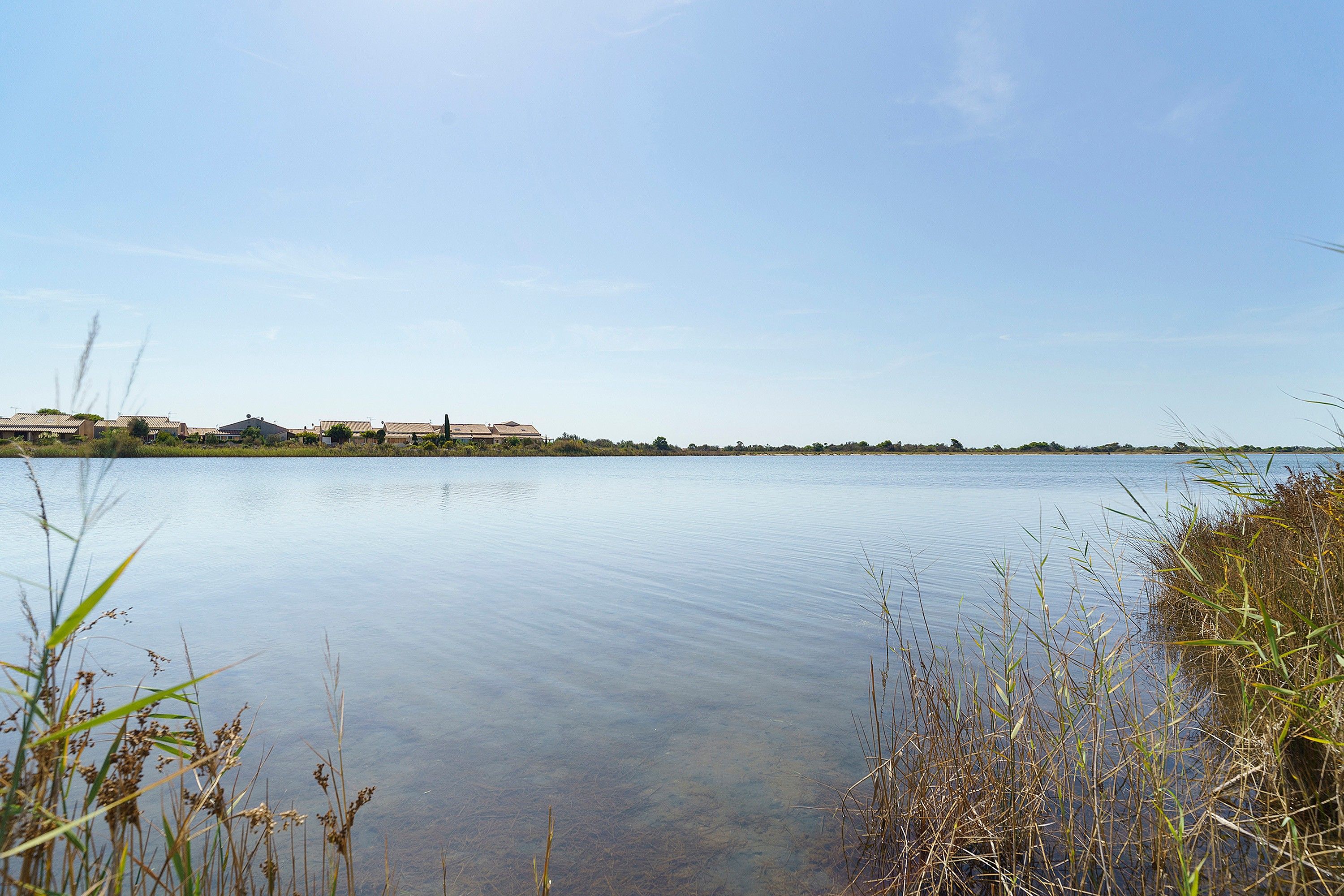 Un lago tranquillo con cielo sereno, circondato da vegetazione e edifici in lontananza.