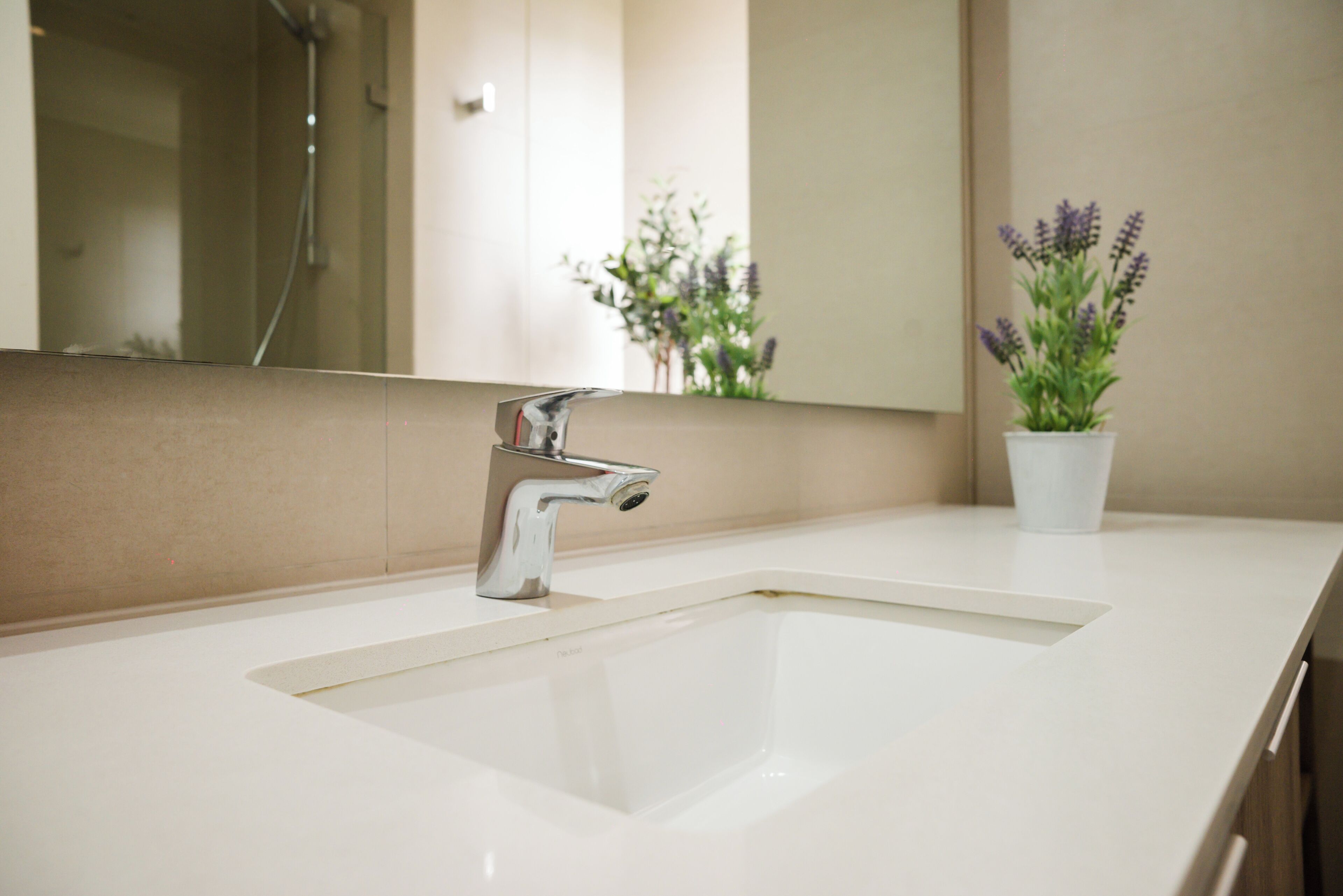 A bathroom with a modern sink, a mirror, and a potted plant.