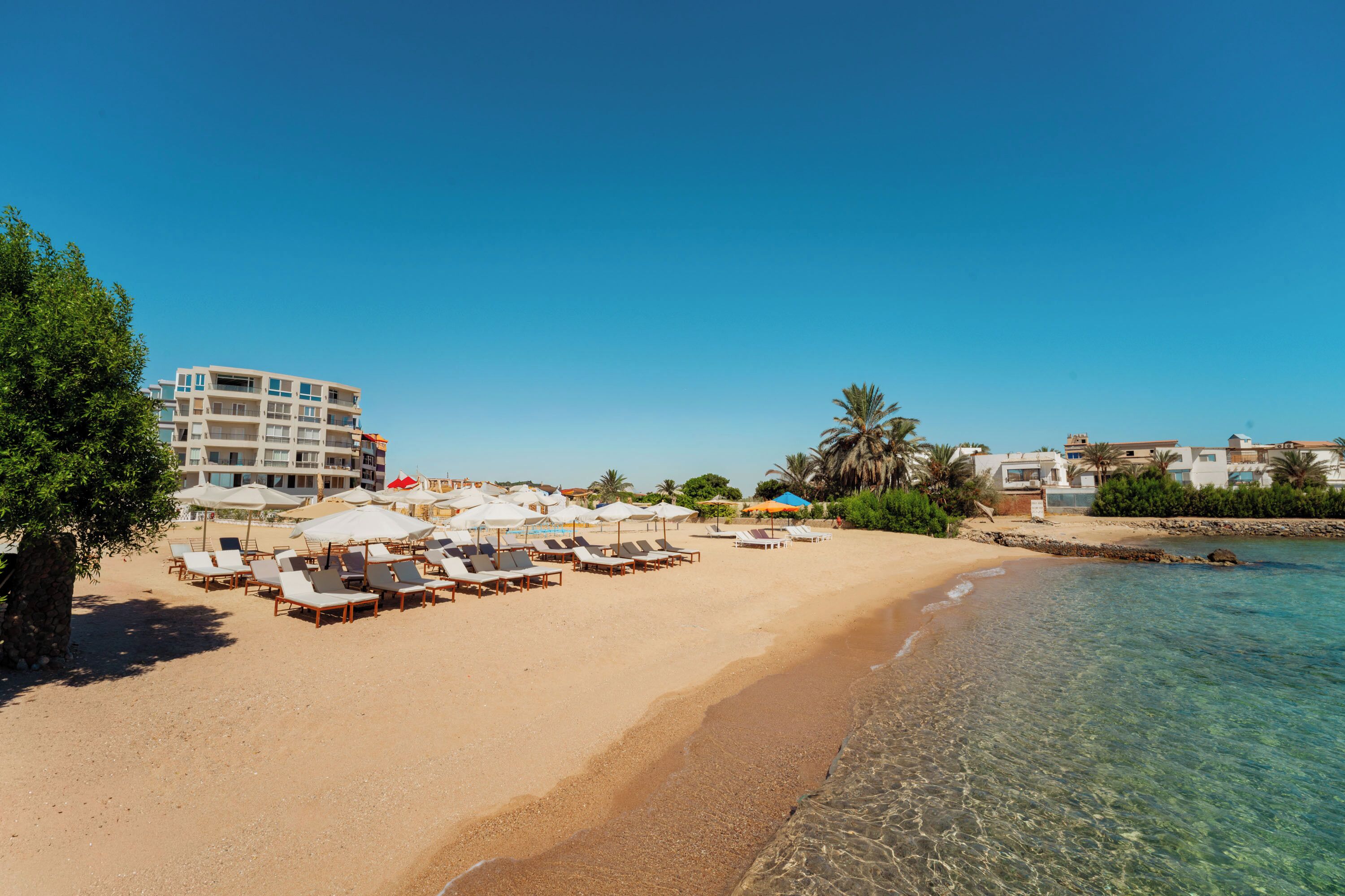A beach with sun loungers and umbrellas, a clear blue sky, and a building in the background.