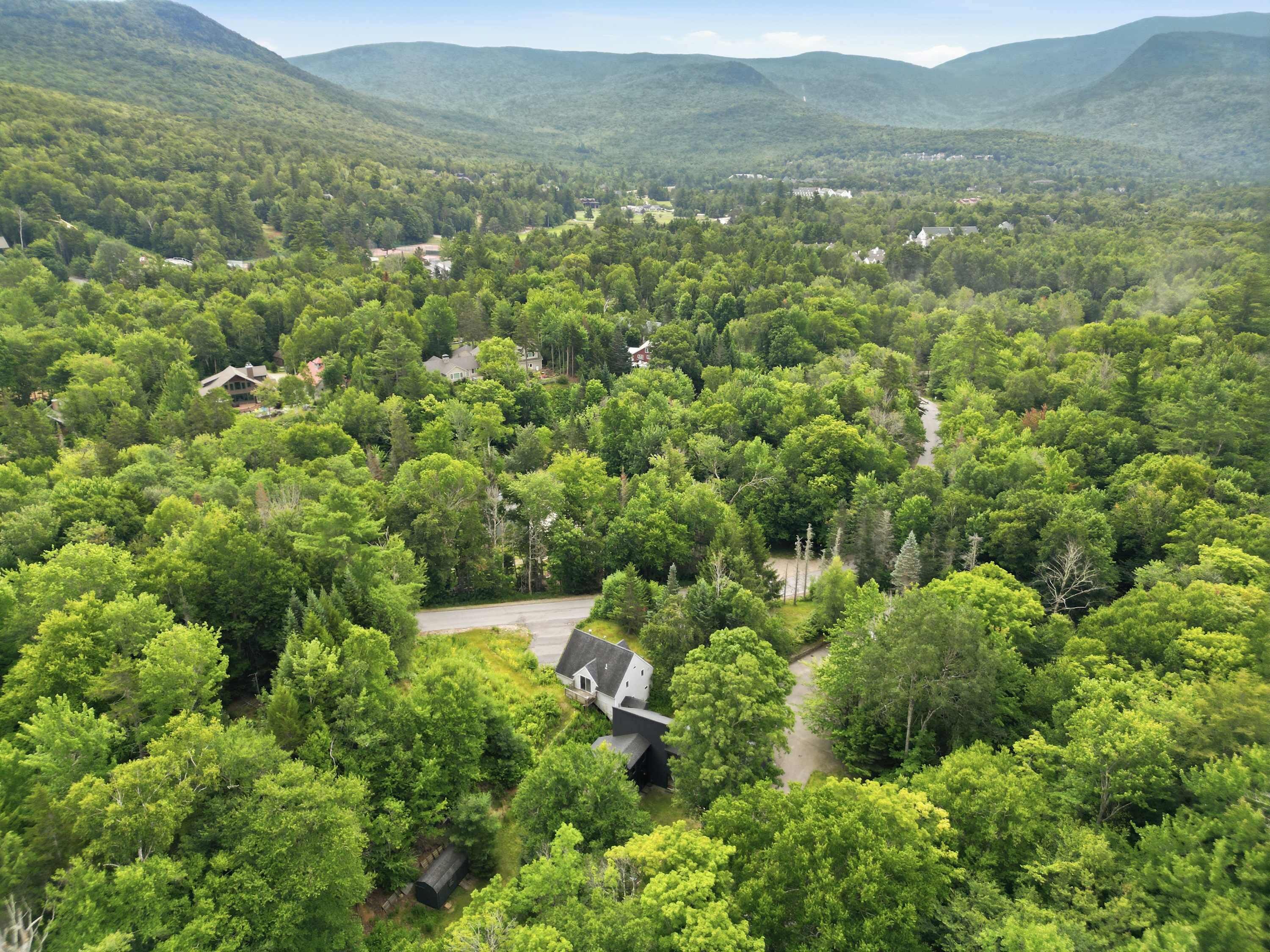 A residential area with houses surrounded by dense forest, a winding road, and a mountain backdrop.