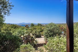 Ein Garten mit verschiedenen Pflanzen und Blick auf das Meer und die entfernten Berge.
