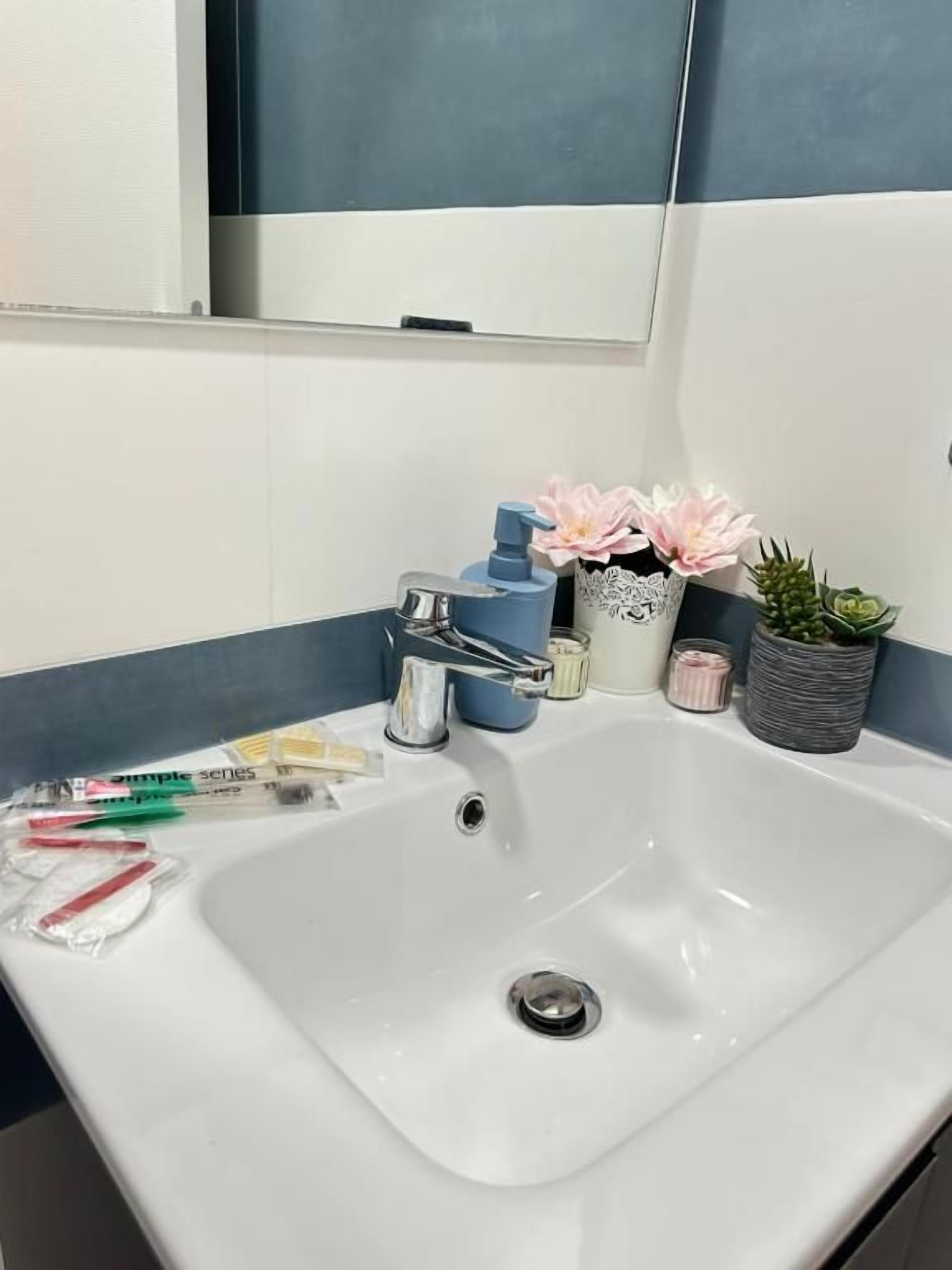 Un lavamanos de baño con un espejo encima, una pared con azulejos blancos y azules, y una planta en maceta sobre la encimera.