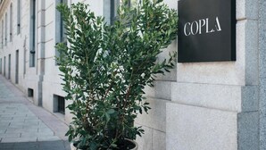 A potted plant with a sign reading 'COPLA' on a building facade.