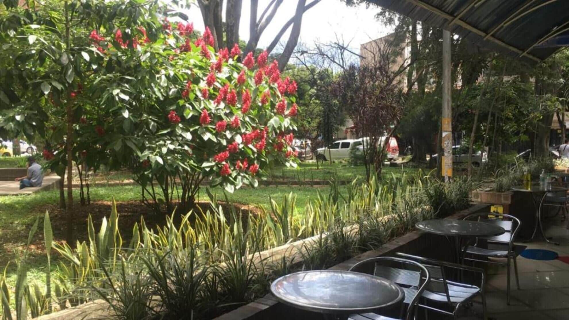 Restaurante al aire libre