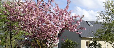 Ulkoalueet