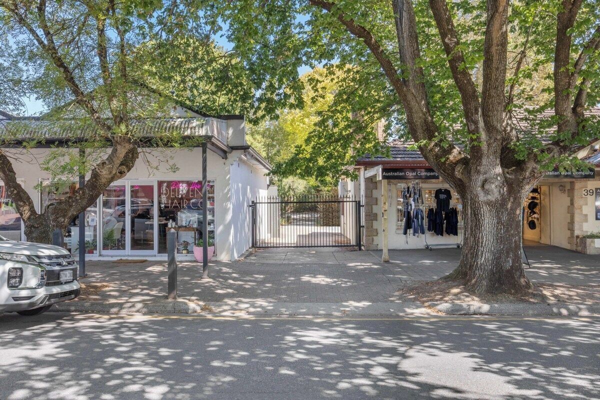 A street with trees, a parked car, and storefronts including one with a sign for 'Australia Opal Company.'