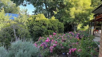 A garden with various plants and flowers, a birdcage with a bird, and a brick building.