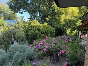 Ein Garten mit verschiedenen Pflanzen und Blumen, eine Vogelkäfig mit einem Vogel und ein Backsteinhaus.