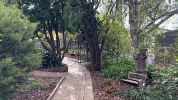 A paved pathway flanked by trees and shrubs, leading to a bench.