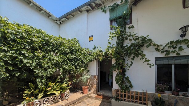 Um pátio com piso de pedra, plantas em vasos, cerca de madeira e um edifício com janela e porta.