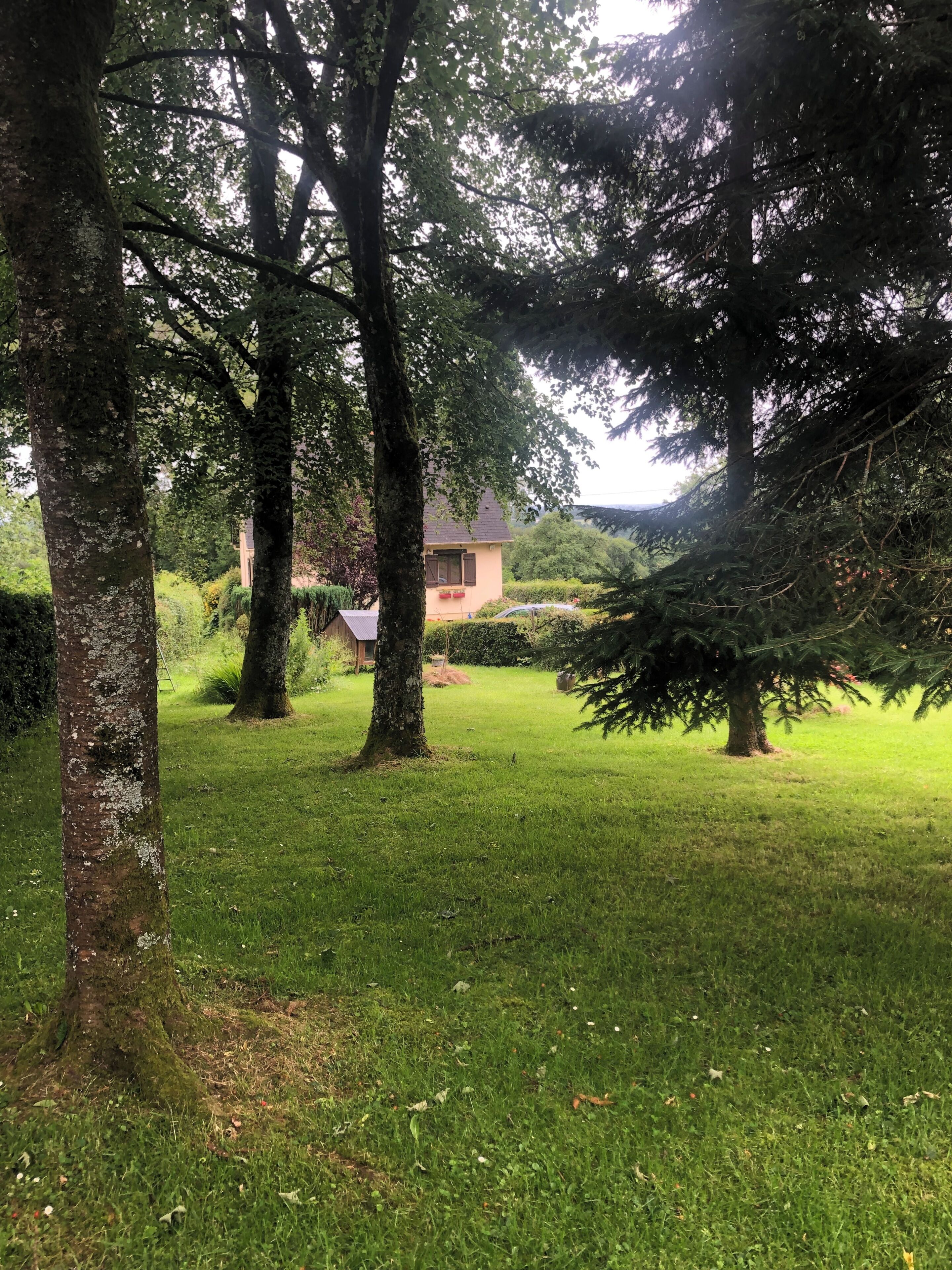 A grassy area with trees and a building in the background.
