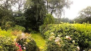 Un sentier de jardin bordé d’une végétation luxuriante et de plantes en fleurs.