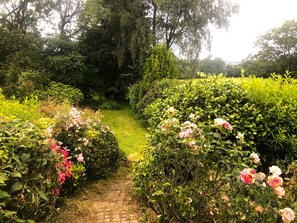 Ein Gartenpfad, umgeben von üppigem Grün und blühenden Pflanzen.