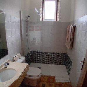 Secador de cabelo, toalhas de banho, sabonete, papel higiênico