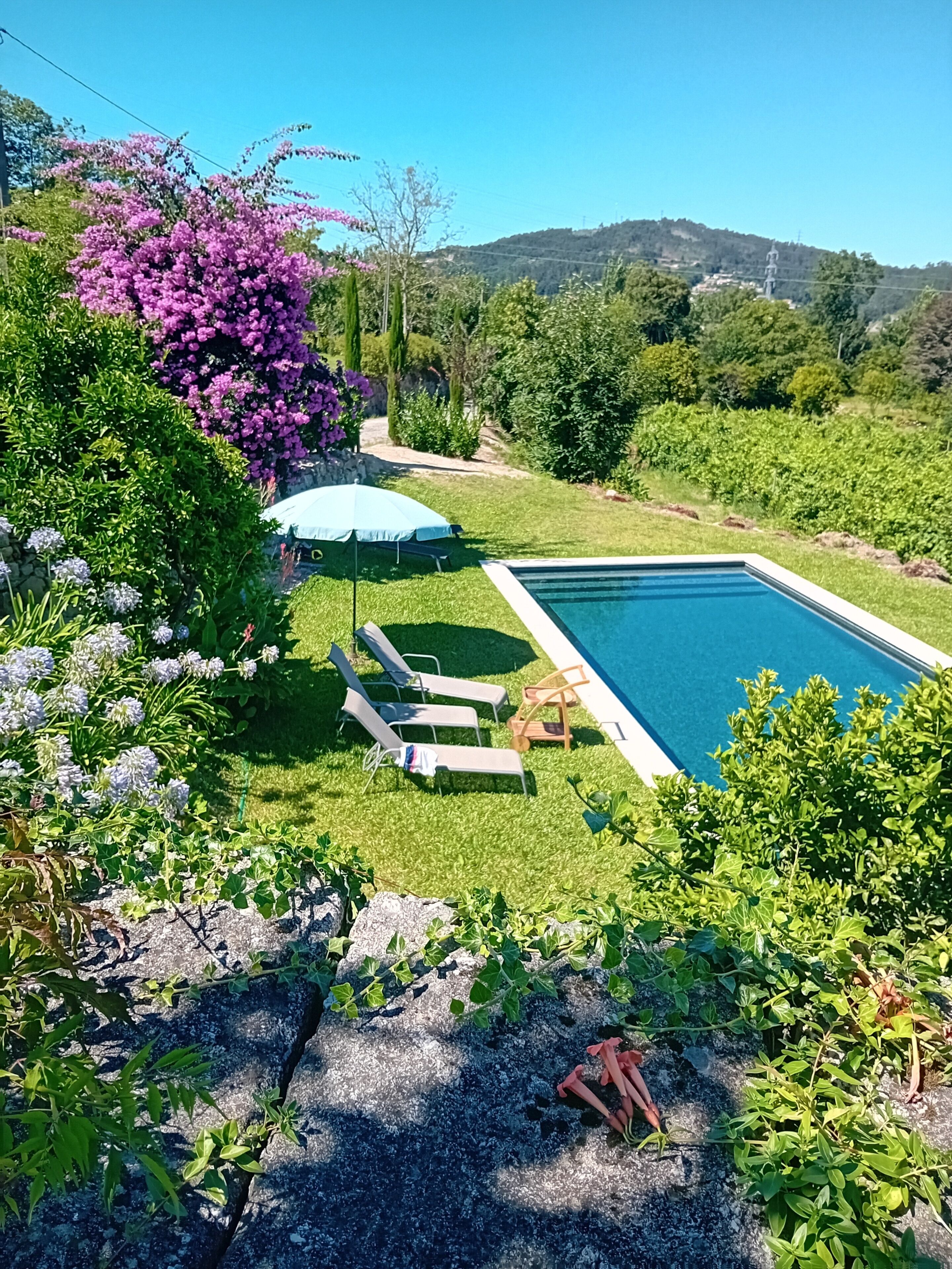 Une piscine entourée d’une végétation luxuriante et de plantes en fleurs, avec des chaises longues et des parasols à proximité.