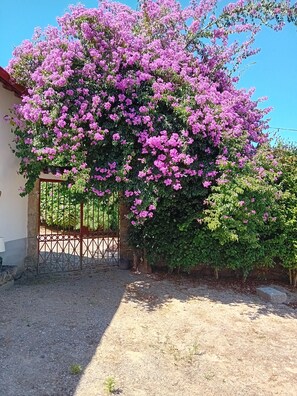 Jardines del alojamiento