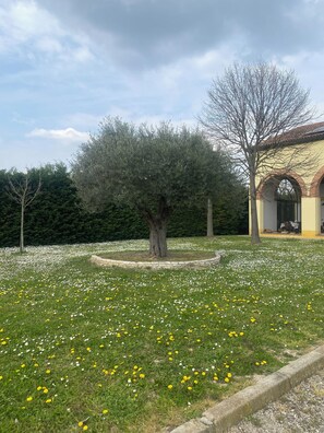 A garden with a large tree, a building with arches, and a stone wall.
