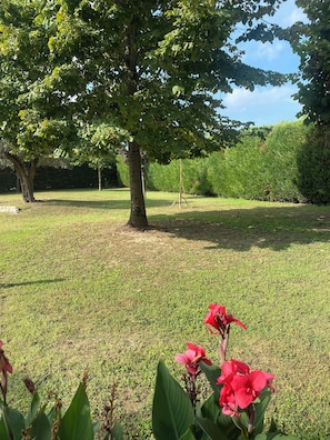 A grassy outdoor area with a large tree and red flowers in the foreground.