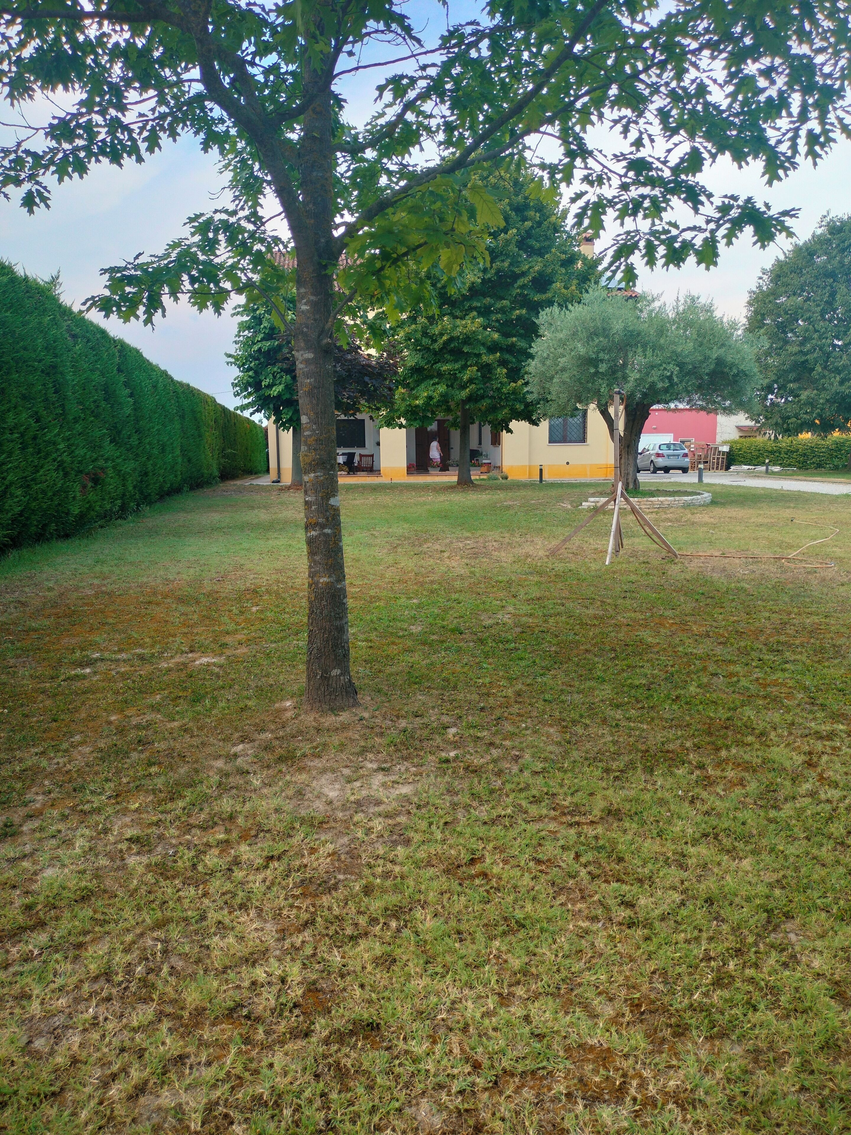 Property grounds