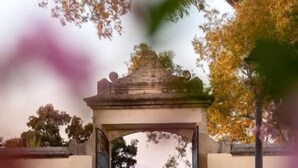 An arched entrance with a decorative top, surrounded by greenery and a clear sky.