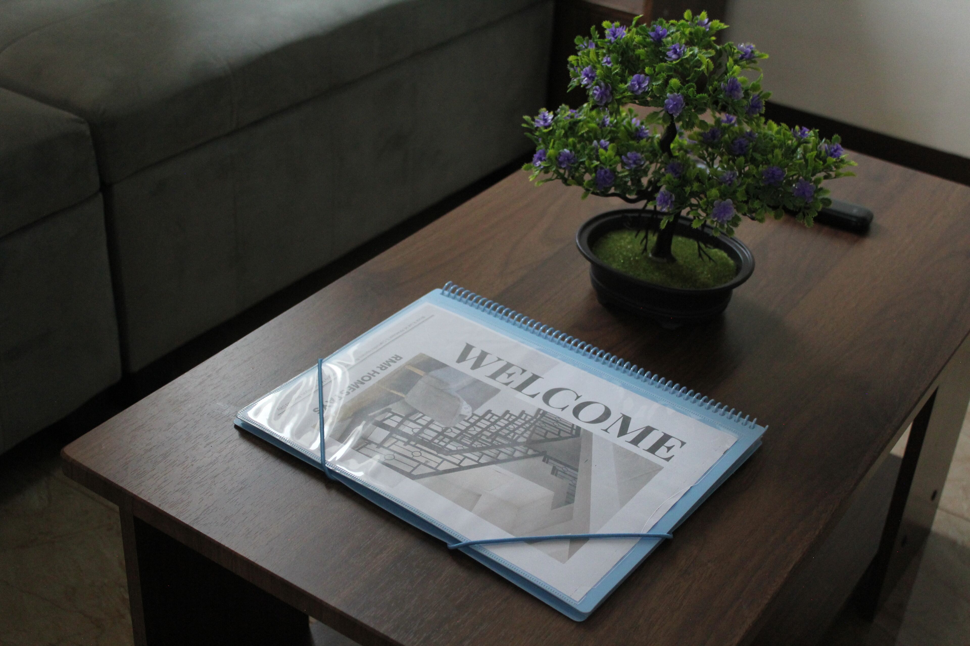 A welcome booklet on a wooden table with a potted plant beside it.